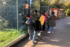 245833660_598277311358061_4686139456904457569_n