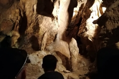 118993785_1440522889467541_5244512334959529322_n