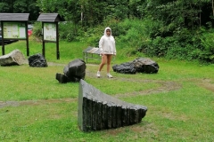 119005307_2685269258407762_795435616907401480_n