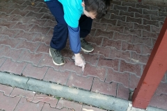 IMG-20211020-WA0015
