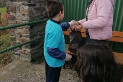 IMG-20211020-WA0017