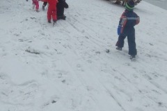 Screenshot_20260227_115538_Gallery