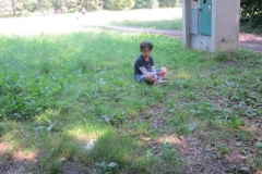 IMG_5031