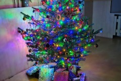 IMG-20251224-WA0018
