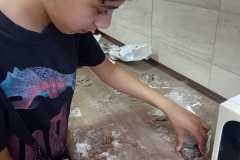 IMG-20250421-WA0009