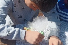 IMG-20260403-WA0028